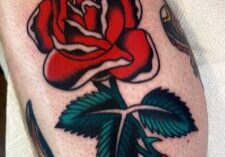 IMG_0566.jpeg