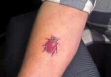IMG_2842.jpeg