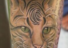 IMG_3148.jpeg