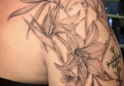 IMG_3150.jpeg