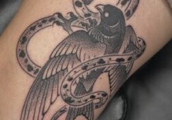 IMG_3152.jpeg