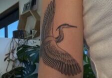 IMG_5529.jpeg