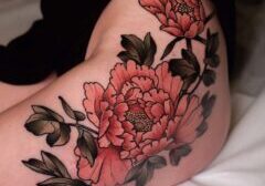 IMG_6297.jpeg