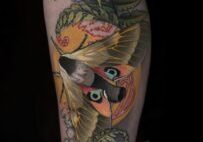 IMG_6371.jpeg
