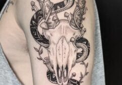 IMG_6373.jpeg