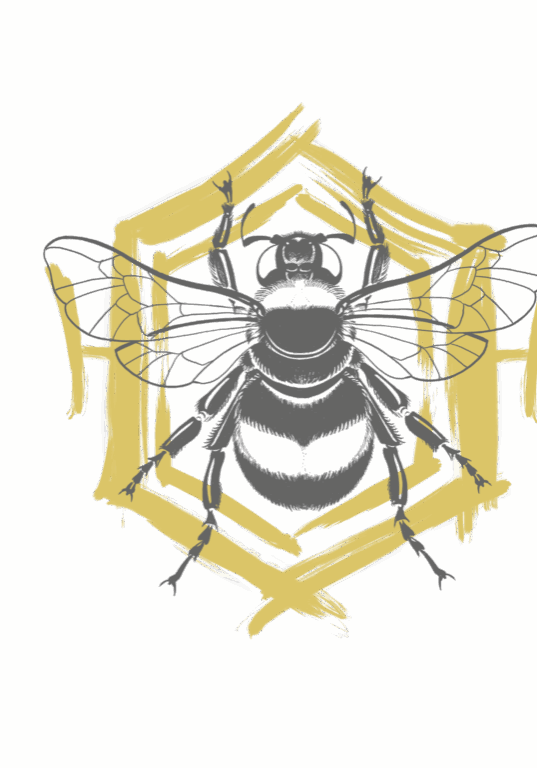 bee PNG.png