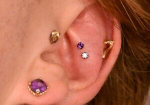 hp-dblhighconch copy.jpg